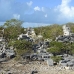 ruins_town_yankee_wc_h_0406_tci0409.jpg